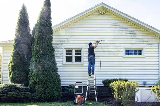 Best House Pressure Washing  in Crown Pot, IN